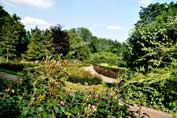 Rosengarten im Fort X
